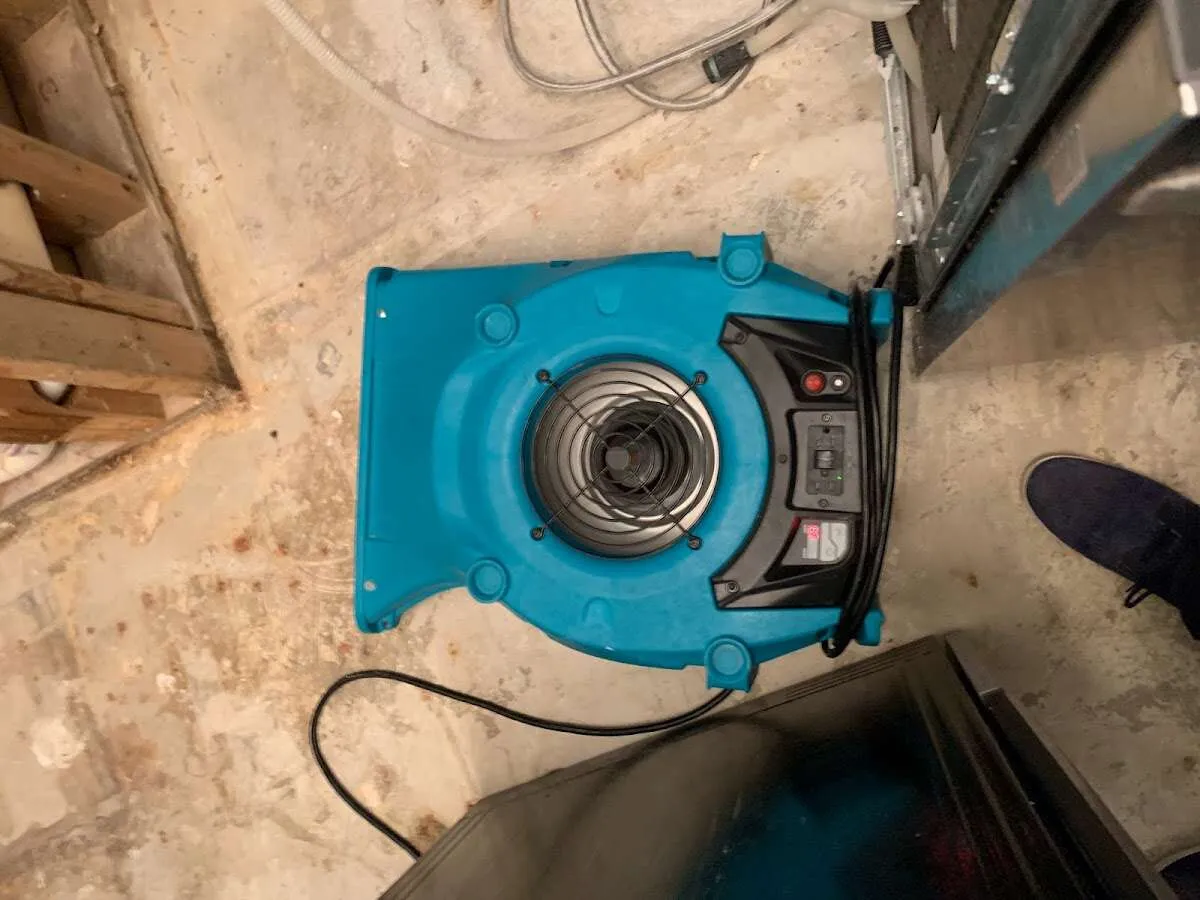 Air mover drying equipment for Mold Remediation & Removal in Brea
